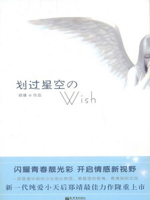 cover image of 划过星空的wish